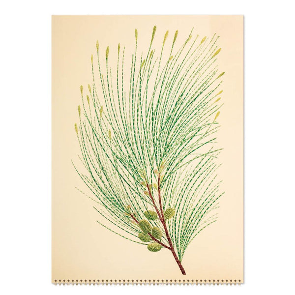 Joseph Banks Botanics HMS Endeavour 2027 Medium Wall Calendar