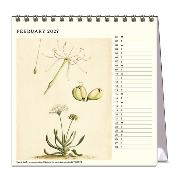 First Fleet Art George Raper 2027 Desk Calendar
