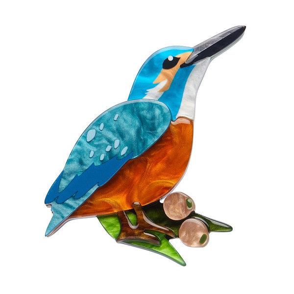 Erstwilder Flash the Kingfisher Brooch