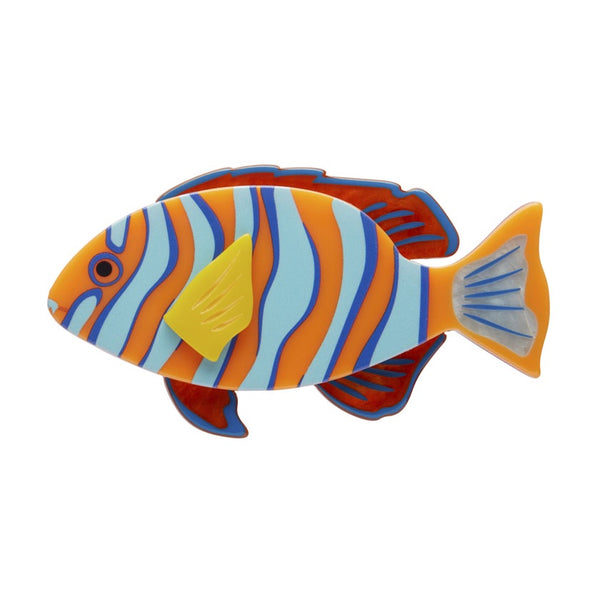 A colorful resin Erstwilder brooch shaped like a Harlequin Tuskfish with blue and orange stripes.