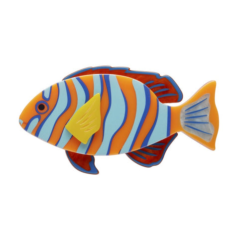 A colorful resin Erstwilder brooch shaped like a Harlequin Tuskfish with blue and orange stripes.