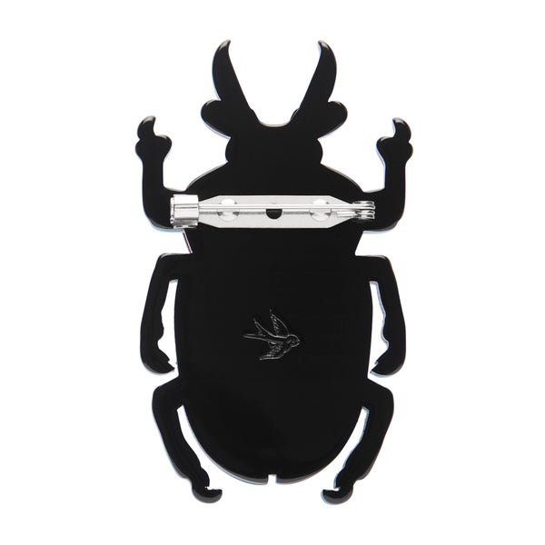 Ruby the Rainbow Stag Beetle