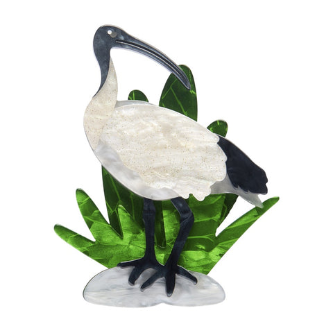 White and black resin ihis brooch with a long black beak on a white background