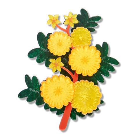 Erstwilder x RBGV Sunshine Wattle Brooch