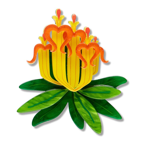 Erstwilder x RBGV Long-flower Mistletoe Brooch