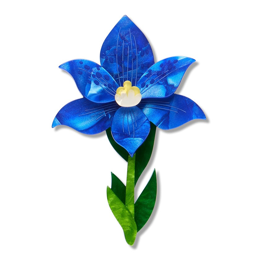 Erstwilder x RBGV Spotted Sun-Orchid Brooch