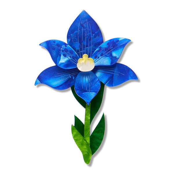 Erstwilder x RBGV Spotted Sun-Orchid Brooch