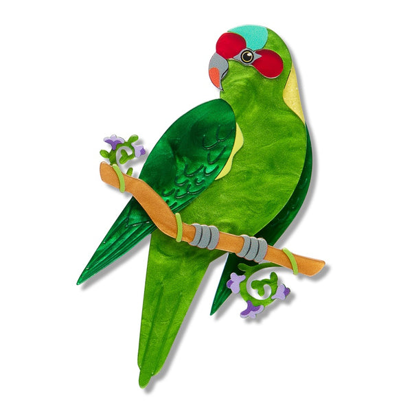 Erstwilder x RBGV Musk Lorikeet Brooch