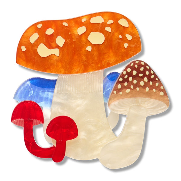 Erstwilder x RBGV Native Mushroom Medley Brooch
