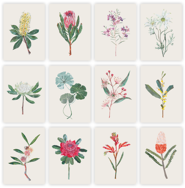 Australian Elements by Alice Lindstrom Greeting Card Pack of 12