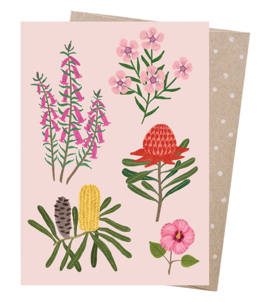 Australian Wildflowers Assorted Cards 8 Pack
