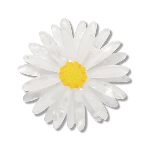 Erstwilder x RBGV Cut-leaf Daisy Simplified Mini Brooch