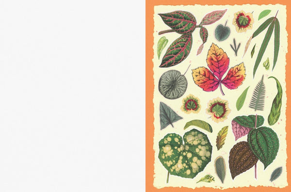 Collection of colorful leaf illustrations on a textured background