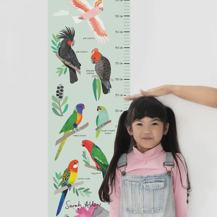 Australian Parrot and Cockatoo Height Chart