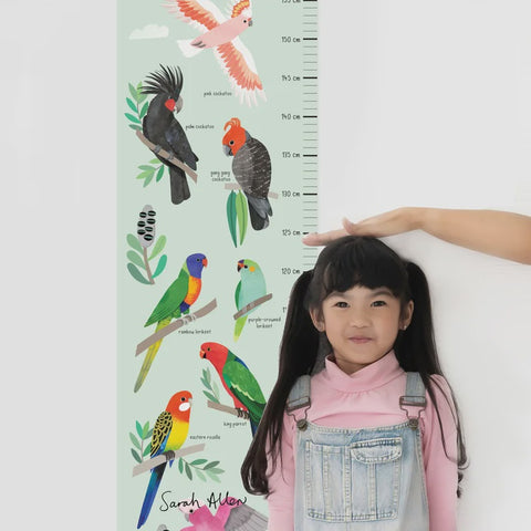 Australian Parrot and Cockatoo Height Chart