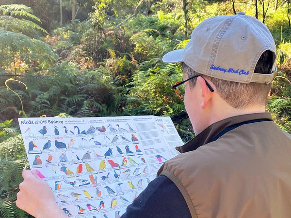 Person in a forest reading a birding map