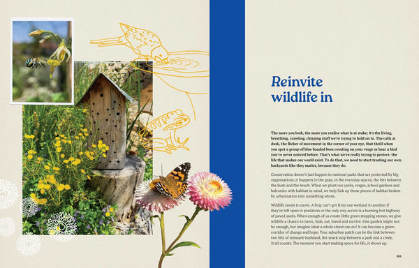 Rewilding Suburbia