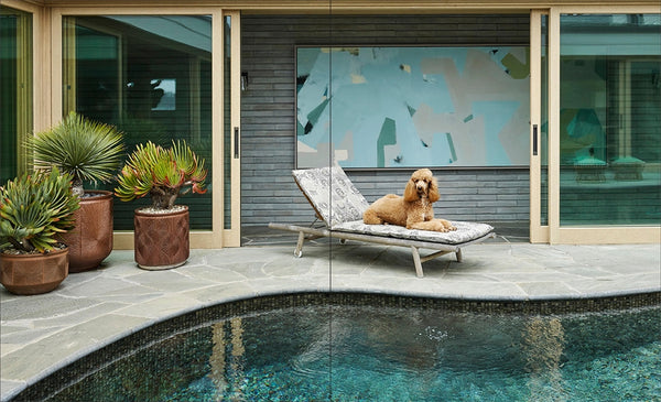Mid-Century Modern Furniture - LAST COPY