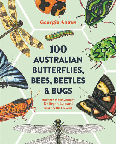 Cover of the book '100 Australian Butterflies, Bees, Beetles & Bugs' featuring illustrations of various Australian insects.