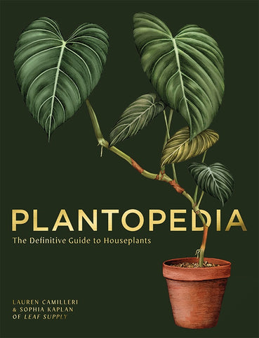 The cover of Plantopedia: The definitive guide to houseplants features an illustration of a large pot plant on a dark green background with a terracotta pot.