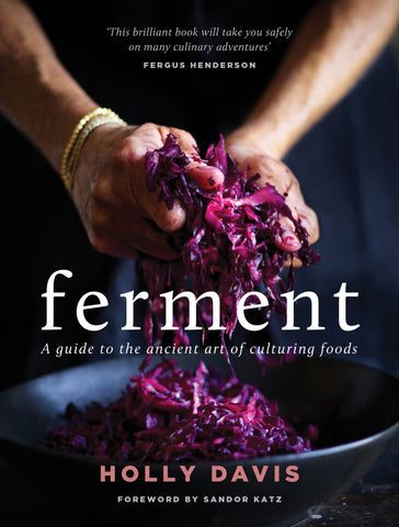 A book cover titled 'Ferment' showing hands holding purple cabbage, indicating the process of fermenting foods.