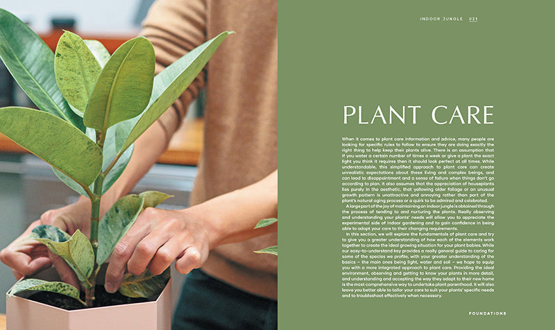 indoor plant care book Indoor Jungle – Museums of History NSW