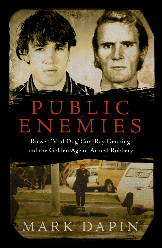 Public Enemies