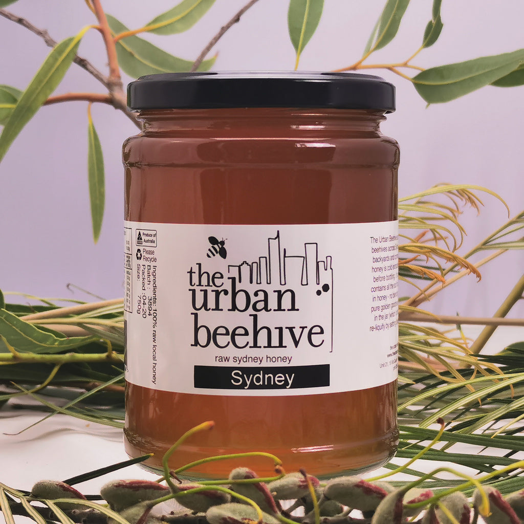 Sydney Honey 750g Large