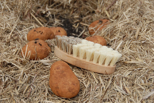 Vegetable Brush Two Tone Bristle 13.5cm x 5.5cm Made In Germany