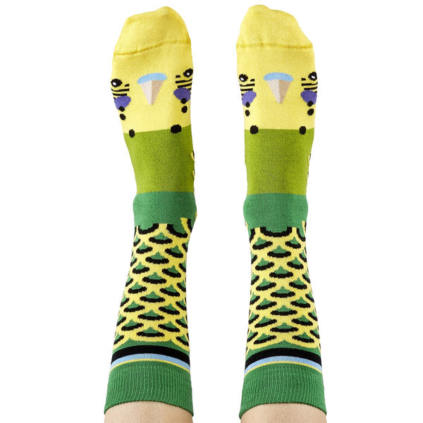 Green Budgie Aussie Socks