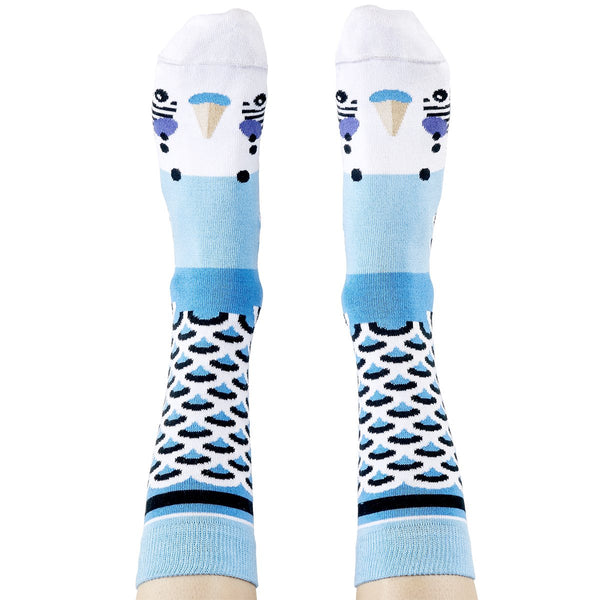 Blue Budgie Aussie Socks